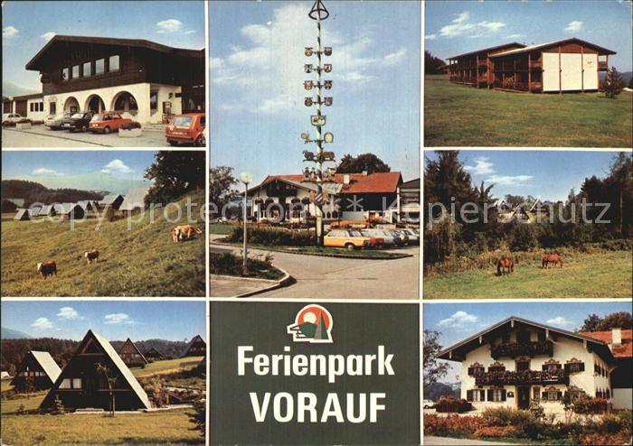 Siegsdorf Oberbayern Ferienpark Vorauf Ferienhaeuser Kuehe Pferde Maibaum