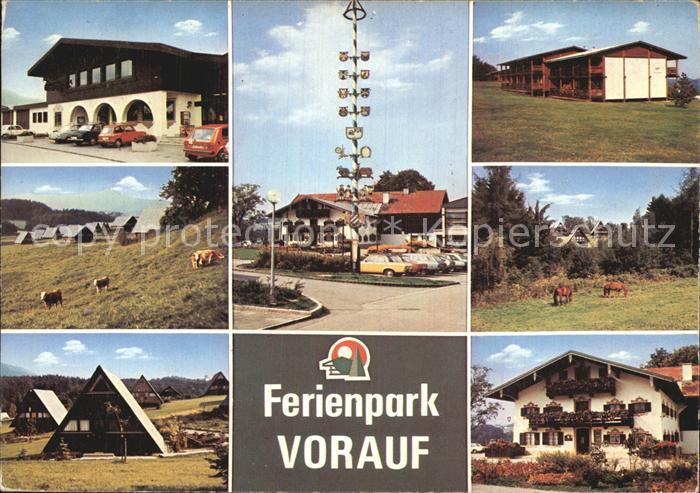 Siegsdorf Oberbayern Ferienpark Vorauf Ferienhaeuser Kuehe Pferde Maibaum