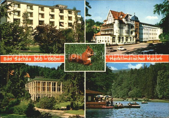 Bad Sachsa Harz Kurhaus Hotel Schmelzsee Bootfahren Eichhoernchen Heilklimatisch