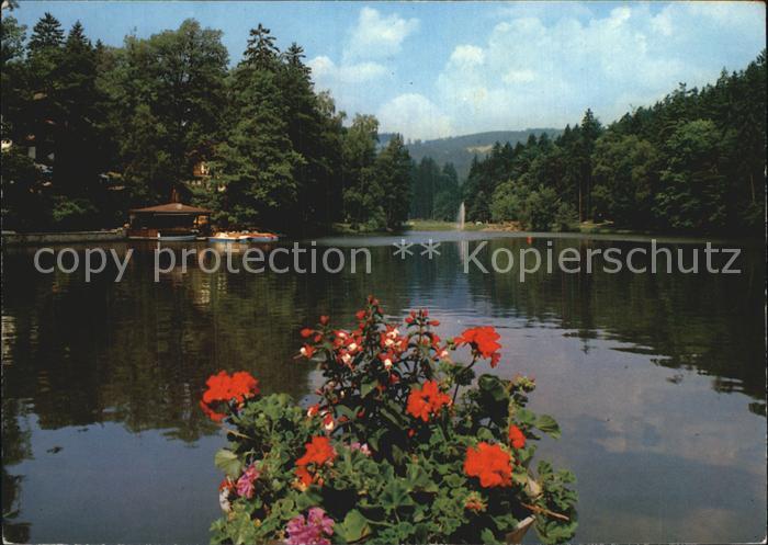 Bad Sachsa Harz Schmelzteich Blumenstock