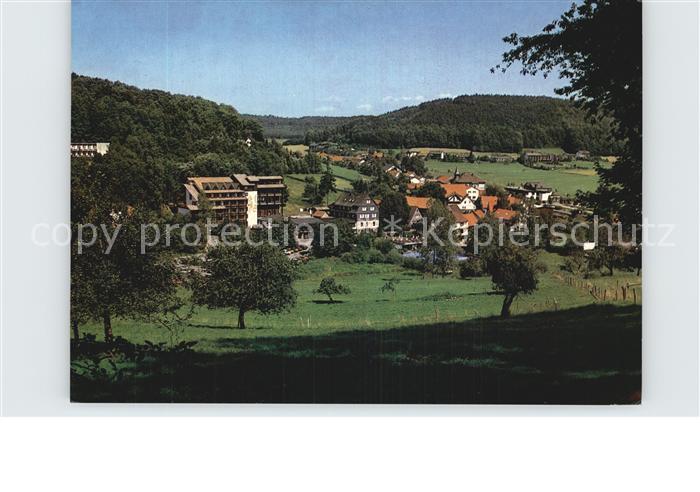 Gras-Ellenbach Panorama Kneippheilbad