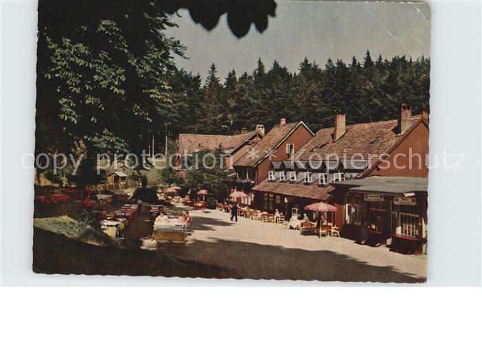 Bad Harzburg Harzhotel Molkenhaus Luftkurort