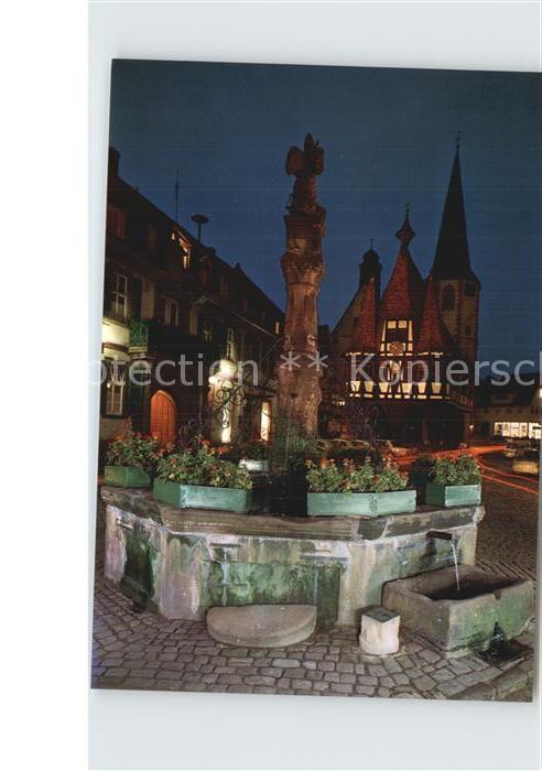 Michelstadt Rathaus aus dem Jahre 1484 Brunnen Nachtaufnahme