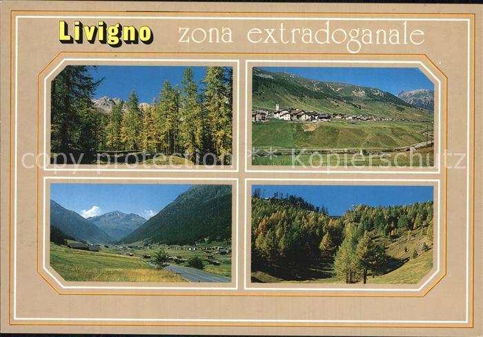 Livigno Teilansicht Panorama