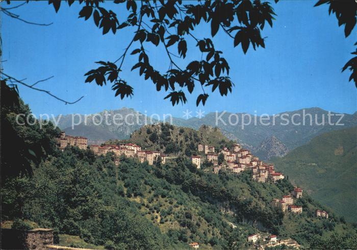 Lucca Panorama