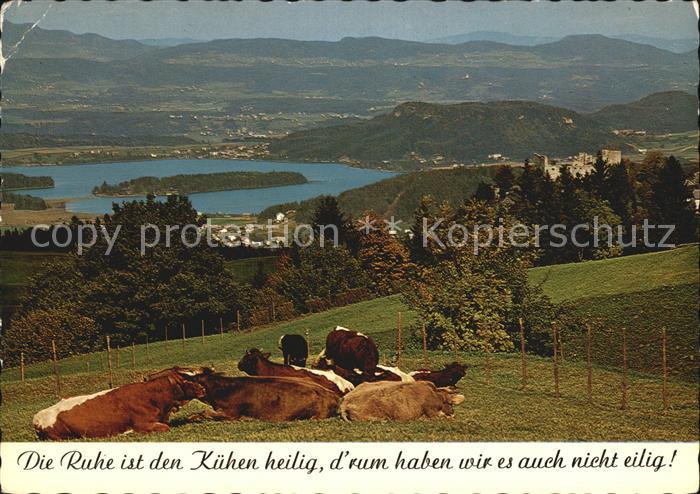 Faakersee Blick zur Ruine Finkenstein