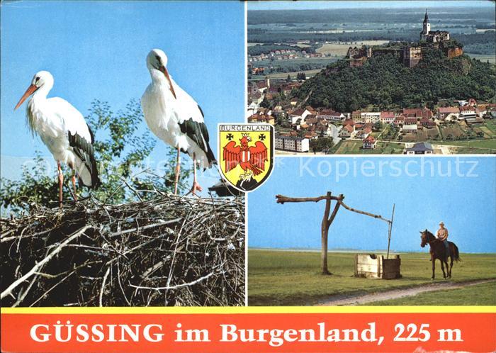 Guessing Burg auf dem Basaltkegel Reiter Stoerche
