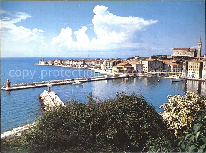 Piran Blick ueber den Hafen
