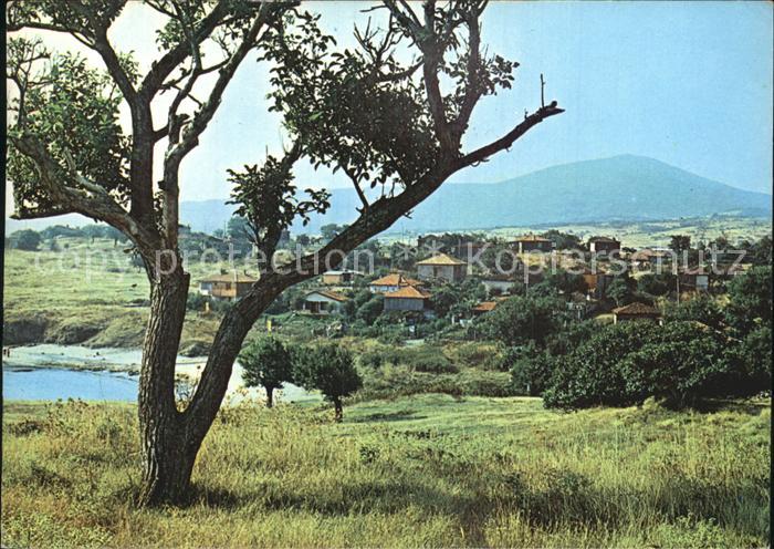 Mitschurin Zarewo Panorama