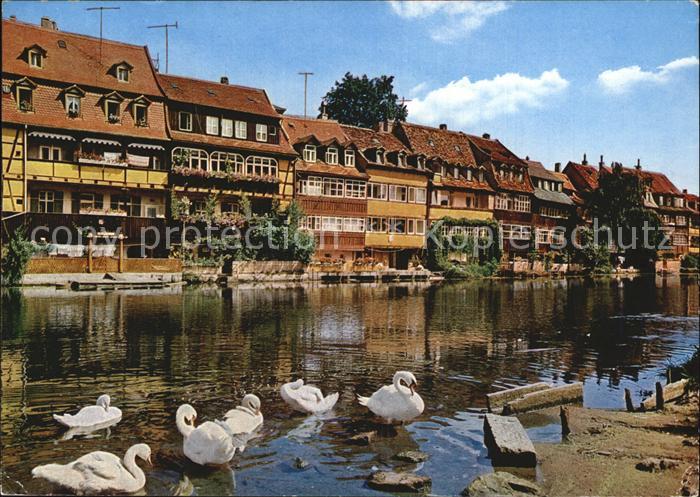 Bamberg Klein Venedig Schwaene an der Regnitz