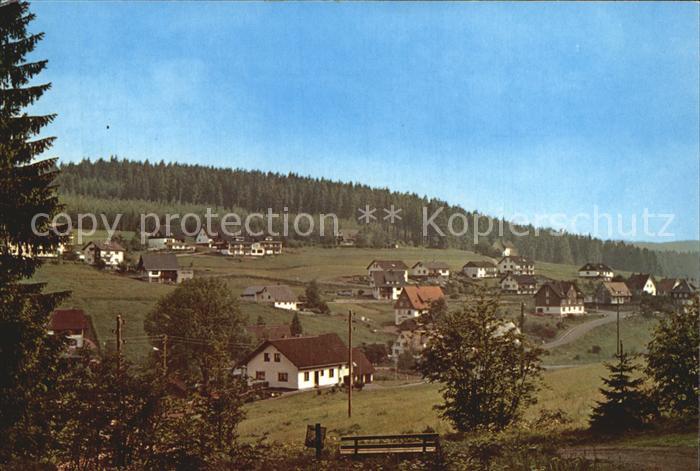 Eisenbach Schwarzwald Teilansicht Luftkurort