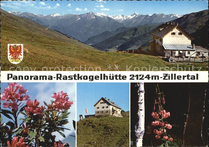 Hippach Rastkogelhuette Zillertal Alpenflora Alpenpanorama
