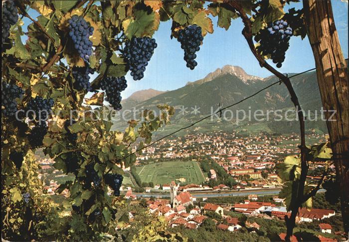 Marling Panorama Blick von den Weinbergen Weinreben Weintrauben