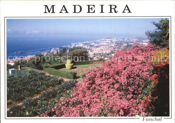 Funchal Panorama Goldener Preis Europaeischer Wettbewerb fuer Staedte in Gruen u