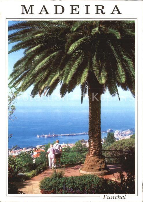 Funchal Palme Meerblick Goldener Preis Europaeischer Wettbewerb fuer Staedte in