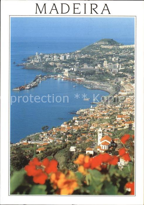 Funchal Panorama Kuestenstadt