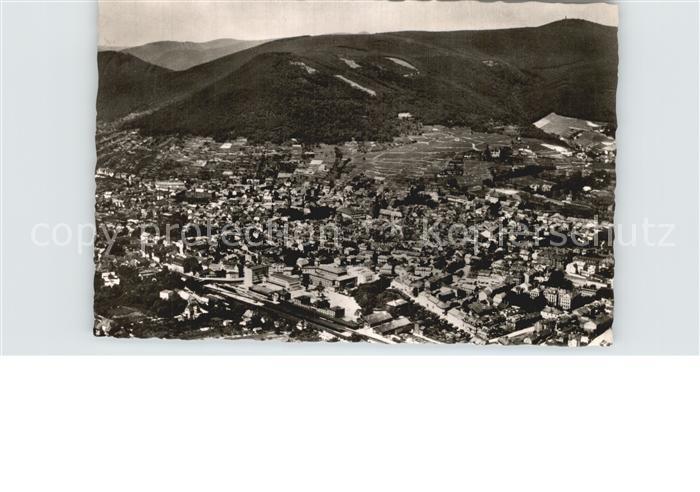 Neustadt Weinstrasse Fliegeraufnahme