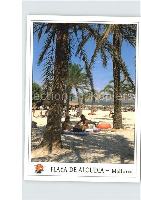 Alcudia Mallorca Playa Strand Palmen