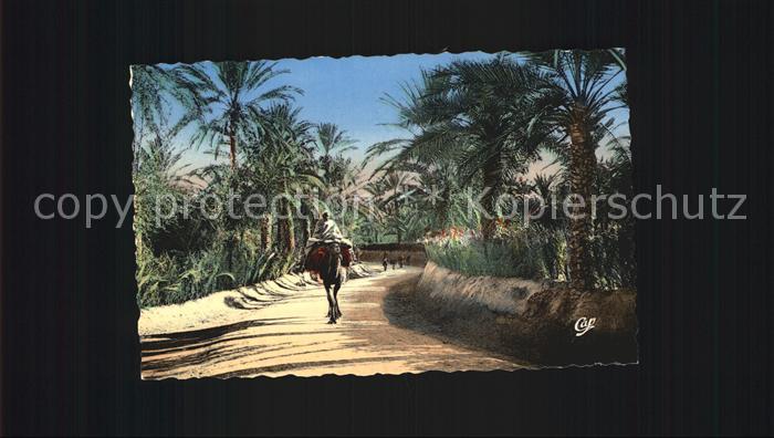 Scenes et Types Nr. 1252 Une route dans l'Oasis