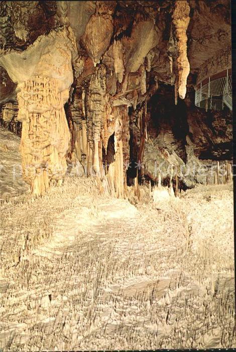 Hoehlen Caves Grottes Postojnska Jama Dvorana cevcic Saal der