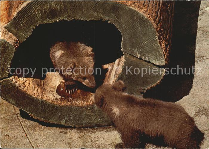 Baeren Bern Bärengraben