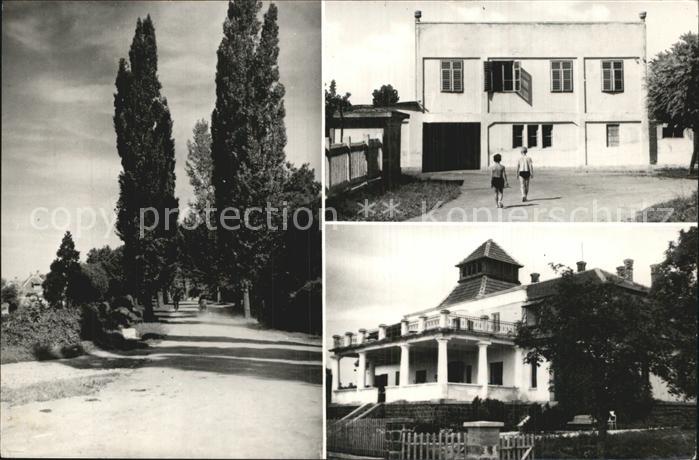 Balatonfuezfoe Teilansichten