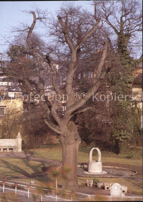 Wittenberg Lutherstadt Luthereiche