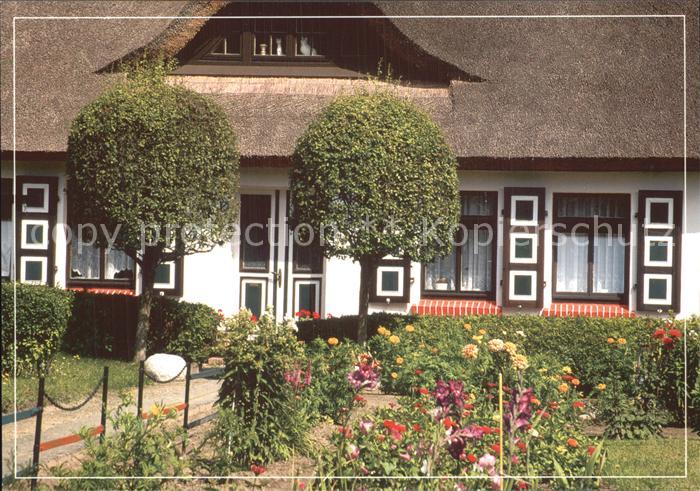 Wiek Ruegen Reetdachhaus