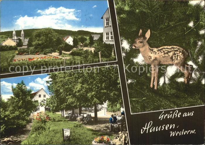 Hausen Westerwald Kirche Teilansicht Rehkitz