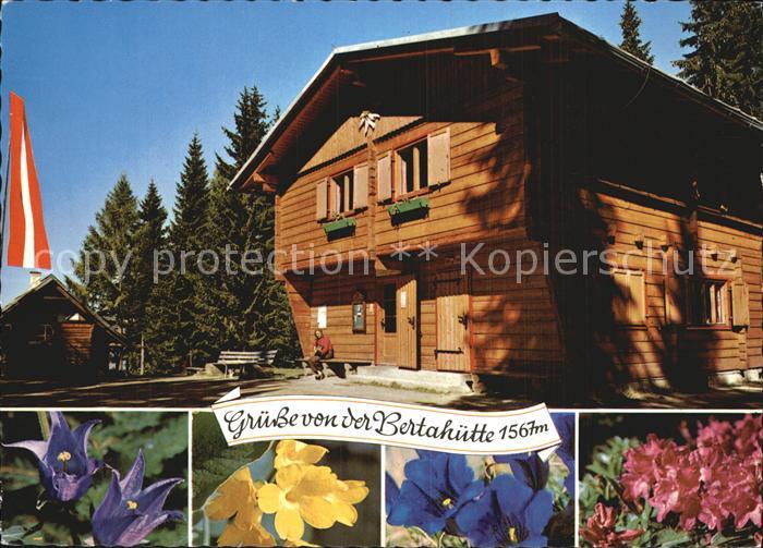 Kaernten Bertahuette Alpenflora