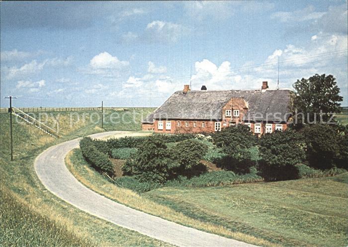 Sterdebuell Schimmelreiterkrug