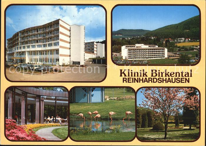 Reinhardshausen Klinik Birkental Park Tiergehege Flamingos