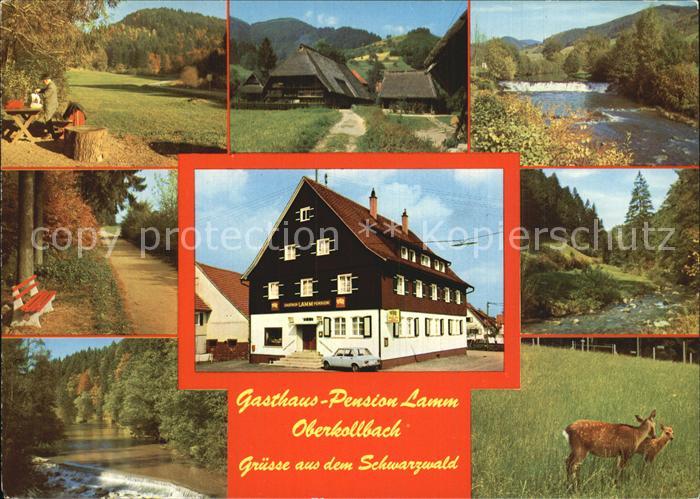 Oberkollbach Gasthaus Pension Lamm im Schwarzwald Rehe Kitz