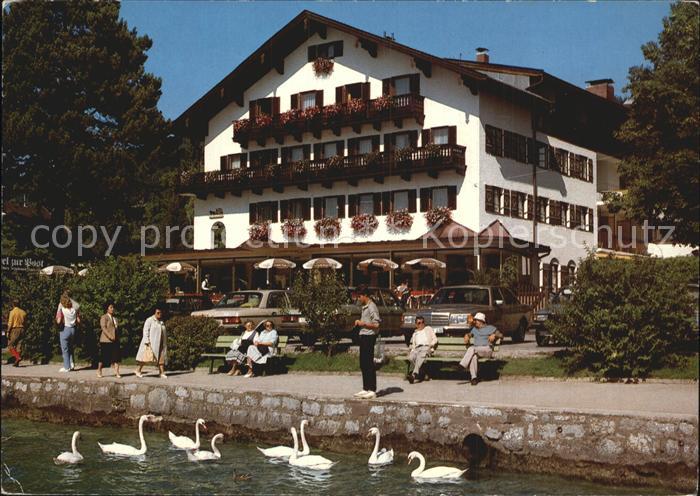 Tegernsee Bayern Hotel Zur Post und Schlosscafe Uferpromenade am See Schwaene