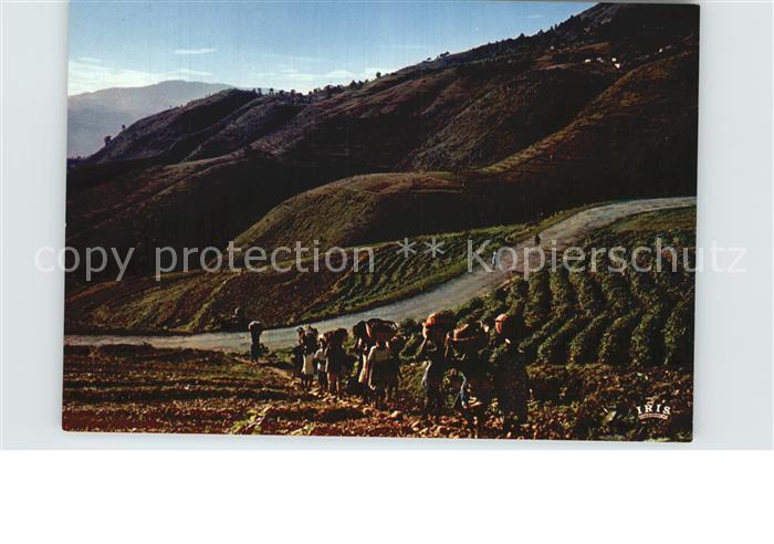 Haiti Route de Kenscoff