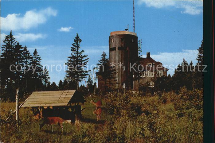 Winterberg Hochsauerland Astenturm