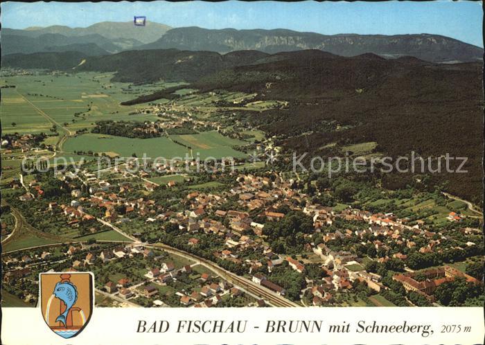 Bad Fischau-Brunn Fliegeraufnahme mit Schneeberg