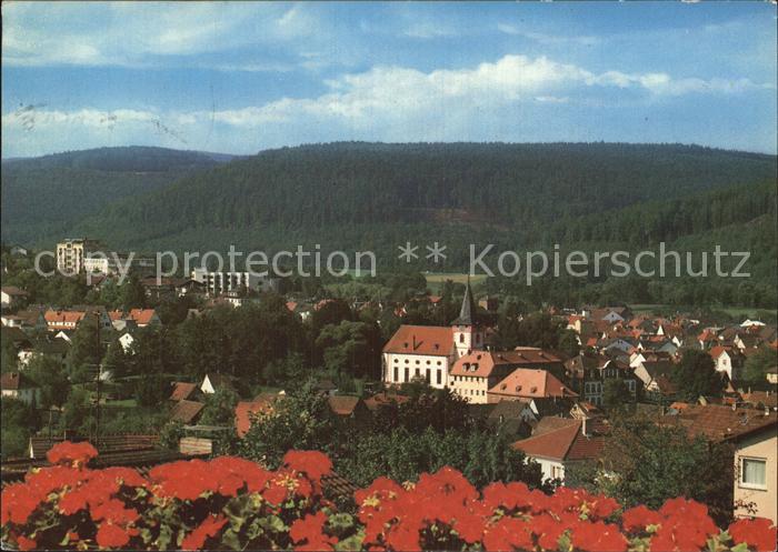 Bad Koenig Odenwald Gesamtansicht