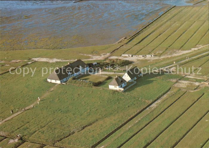 Hamburger Hallig Fliegeraufnahme
