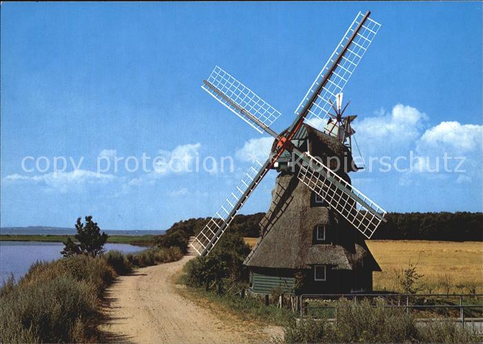 Schleswig Holstein Windmuehle am Geltinger Noor