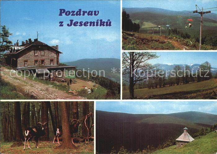 Jeseniky Chata na Seraku Mufloni