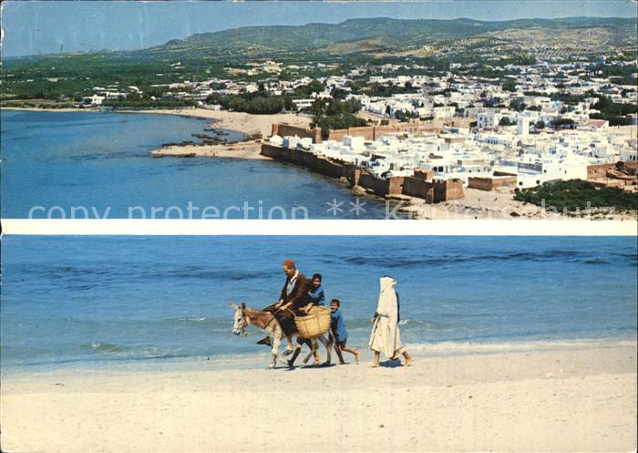 Hammamet Strand Esel Panorama