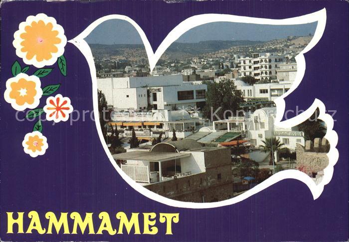 Hammamet Panorama