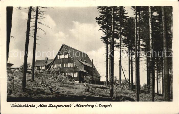 Altenburg Geising Waldschaenke Altes Raupennest