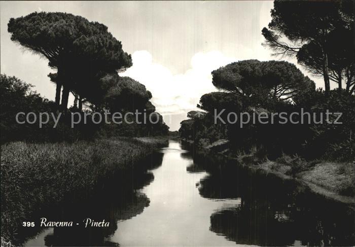 Ravenna Italia Pineat Flusspartie