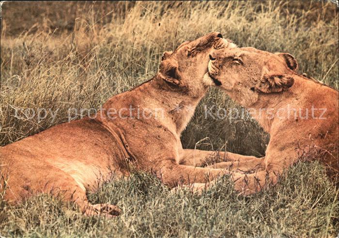 Loewe Mother and Child