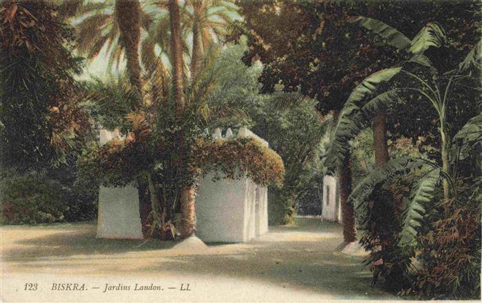 Biskra Algerie Jardins-Landon Palmen Tropische-Vegetation Weisse-Mauer Weg Park
