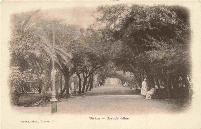 Biskra Algerie Grande-Allée Baumallee Palme Weg Arabische-Person Bank Park