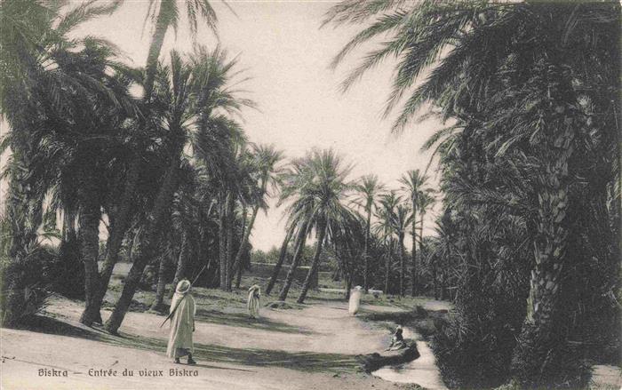 Biskra Algerie Entrée-du-vieux-Biskra Palmenhain Arabische-Personen Sandweg Wass