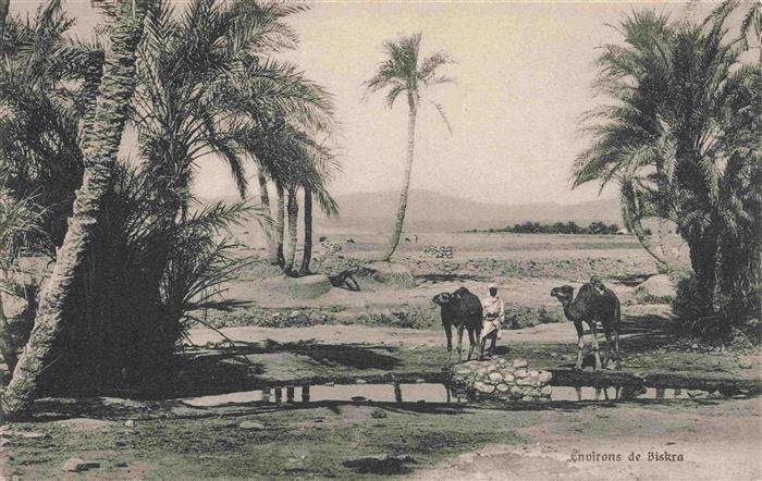 Biskra Algerie Palmen Kamele Wasserstelle Wuestenlandschaft Treiber Oase